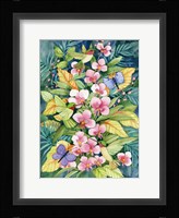 Orchids and Hummingbirds Fine Art Print
