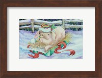Christmas Pig Fine Art Print