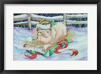 Christmas Pig Framed Print