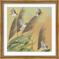 Sparrows and Phragmates Sq Fine Art Print