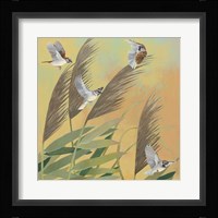 Sparrows and Phragmates Sq Fine Art Print