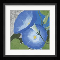 Morning Glorious I Silver Framed Print