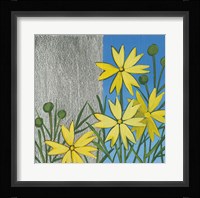Coreopsis I Framed Print