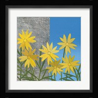 Coreopsis II Framed Print