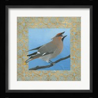 Cedar Waxwing Fine Art Print