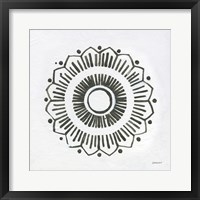 Patterns of the Amazon Icon XII Framed Print