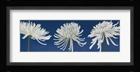 Morning Chrysanthemums V Indigo Fine Art Print