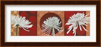 Morning Chrysanthemums V Fine Art Print