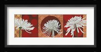 Morning Chrysanthemums V Fine Art Print
