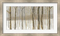 Woods in Winter Fine Art Print