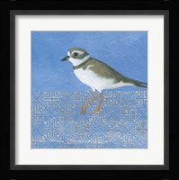 Plover Fine Art Print