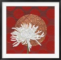 Morning Chrysanthemum IV Fine Art Print