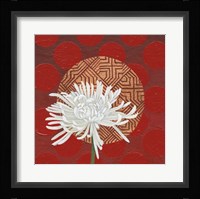 Morning Chrysanthemum IV Fine Art Print