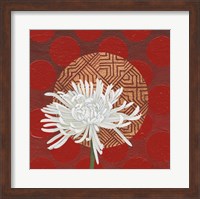Morning Chrysanthemum IV Fine Art Print