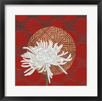 Morning Chrysanthemum IV Fine Art Print