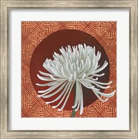 Morning Chrysanthemum III Fine Art Print