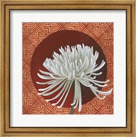 Morning Chrysanthemum III Fine Art Print