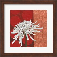 Morning Chrysanthemum II Fine Art Print