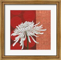 Morning Chrysanthemum II Fine Art Print