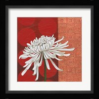 Morning Chrysanthemum II Fine Art Print