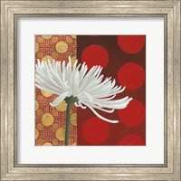 Morning Chrysanthemum I Fine Art Print
