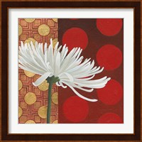 Morning Chrysanthemum I Fine Art Print