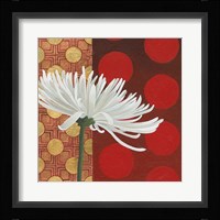 Morning Chrysanthemum I Fine Art Print