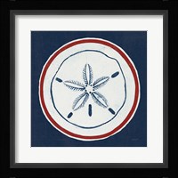 Summer Shells I Nautical Framed Print