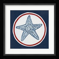 Summer Shells IV Nautical Framed Print