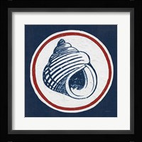 Summer Shells III Nautical Framed Print