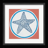 Summer Shells IV Framed Print