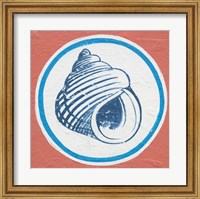 Summer Shells III Fine Art Print