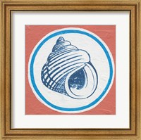 Summer Shells III Fine Art Print