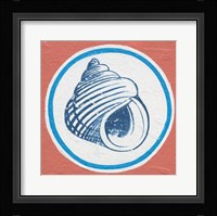 Summer Shells III Framed Print