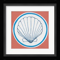 Summer Shells II Framed Print