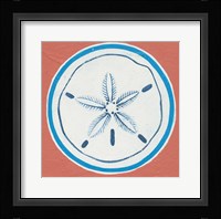 Summer Shells I Framed Print