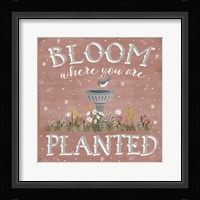 Blooming Garden VII Framed Print