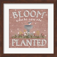 Blooming Garden VII Fine Art Print