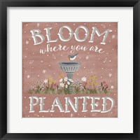 Blooming Garden VII Framed Print