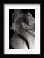 Iris Abstract I Framed Print