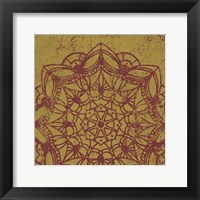 Contemporary Lace IV Spice Framed Print