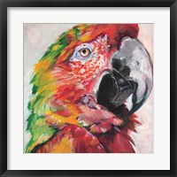 Parrot I Fine Art Print