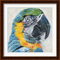 Parrot II Fine Art Print