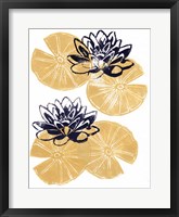 Golden Lily Pad Fine Art Print