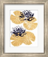 Golden Lily Pad Fine Art Print