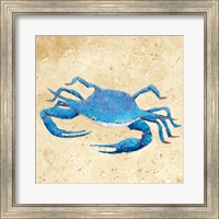 Blue Crab V Neutral Crop Fine Art Print