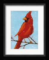 Cardinal II Fine Art Print