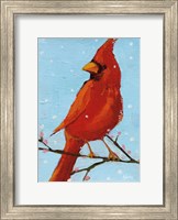 Cardinal II Fine Art Print