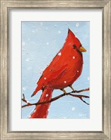 Cardinal I Fine Art Print