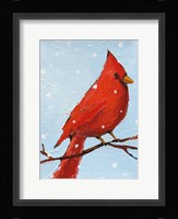Cardinal I Fine Art Print
